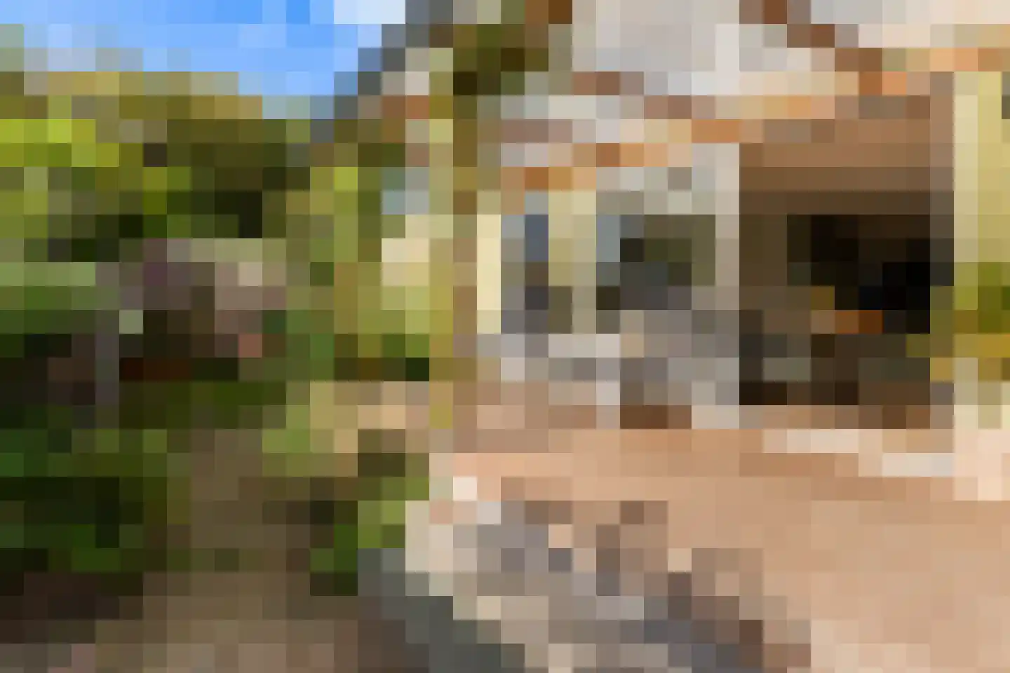 Molenpolderhof 50 Tienhoven thumbnail 27