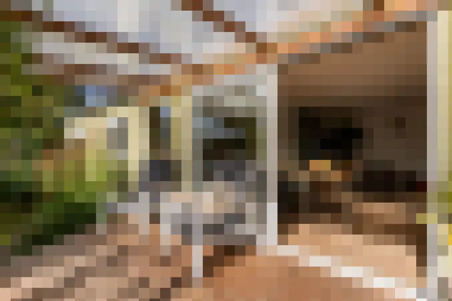 Molenpolderhof 50 Tienhoven thumbnail 28