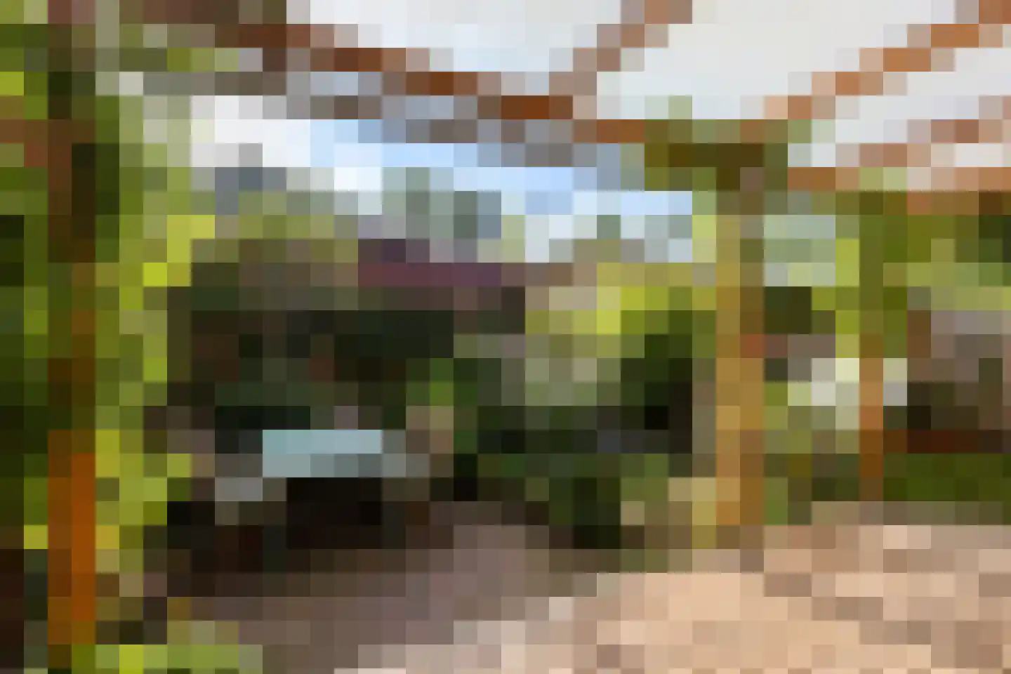 Molenpolderhof 50 Tienhoven thumbnail 29