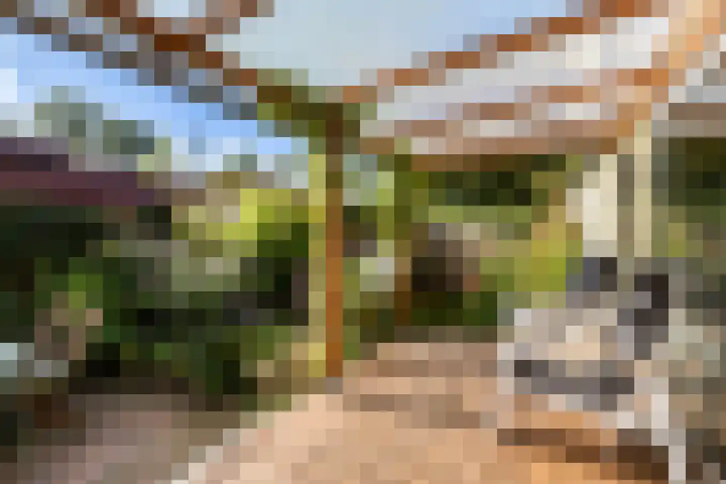 Molenpolderhof 50 Tienhoven thumbnail 30