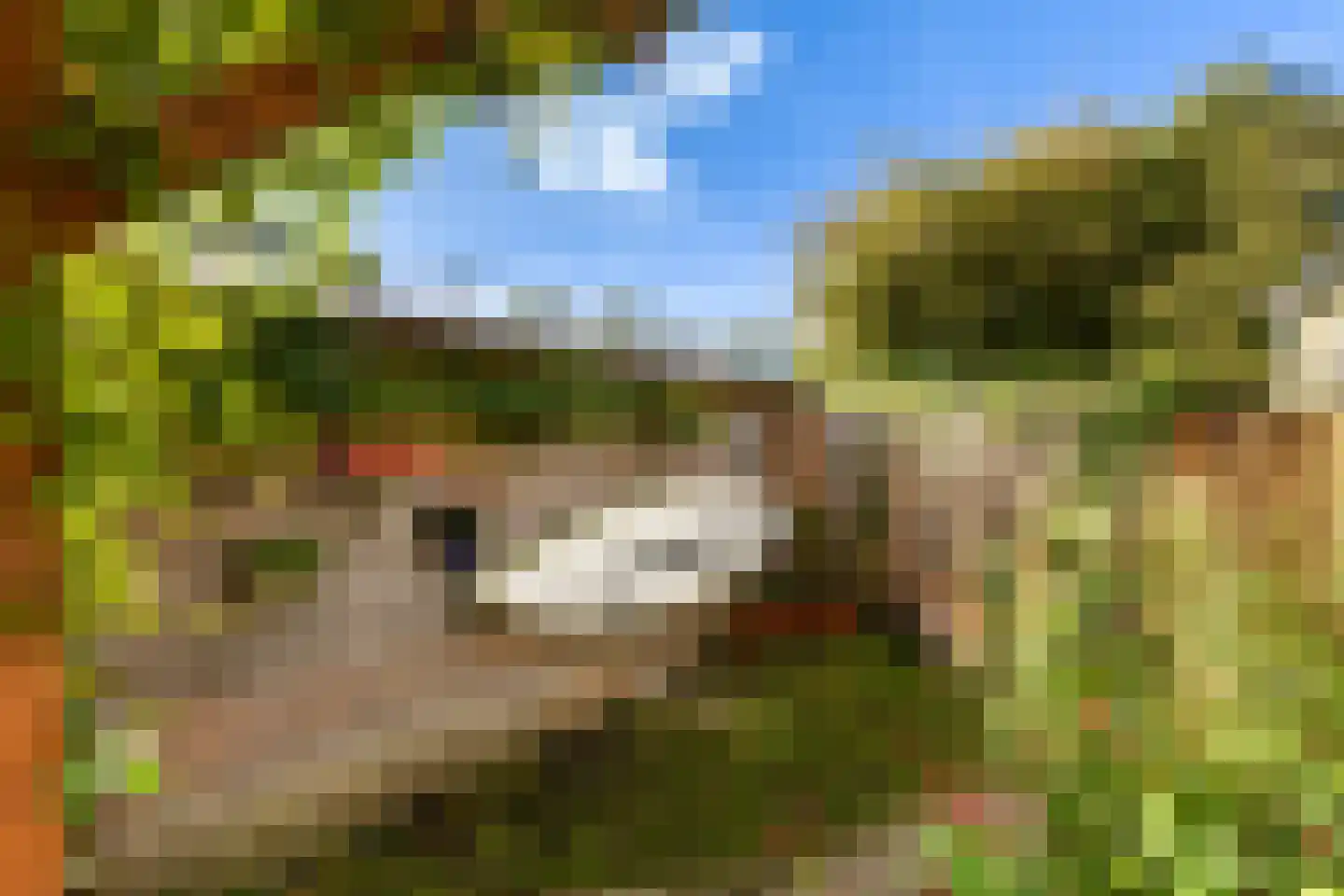 Molenpolderhof 50 Tienhoven thumbnail 31
