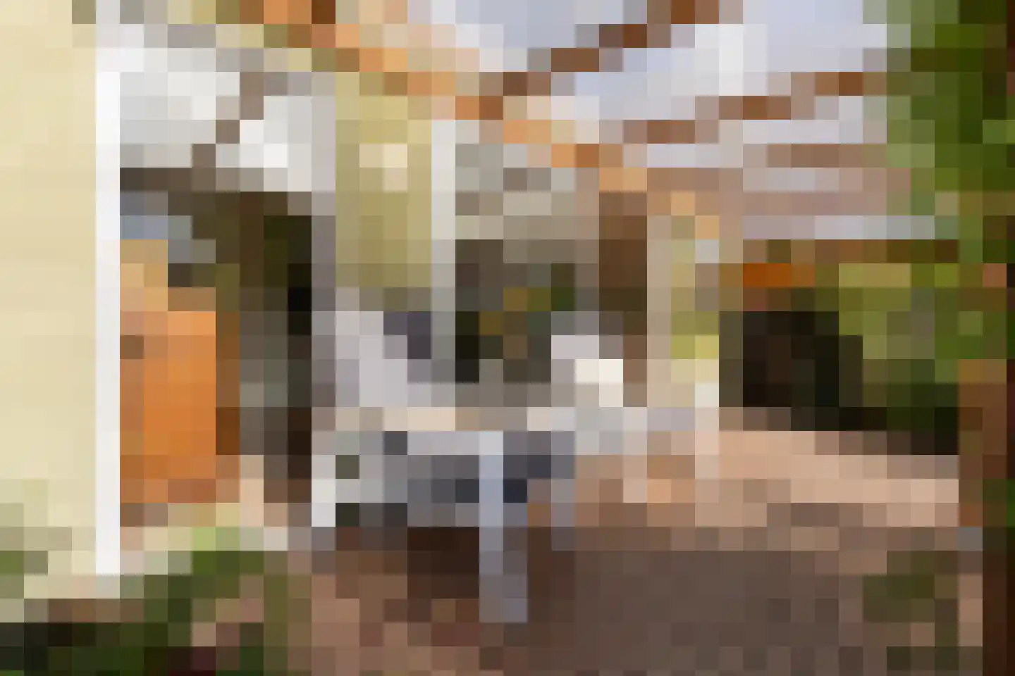 Molenpolderhof 50 Tienhoven thumbnail 33