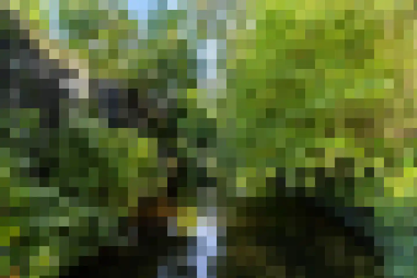 Molenpolderhof 50 Tienhoven thumbnail 34