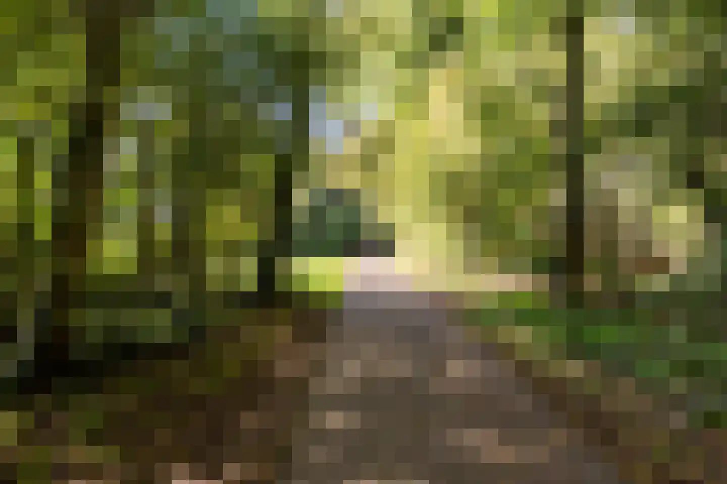 Molenpolderhof 50 Tienhoven thumbnail 36
