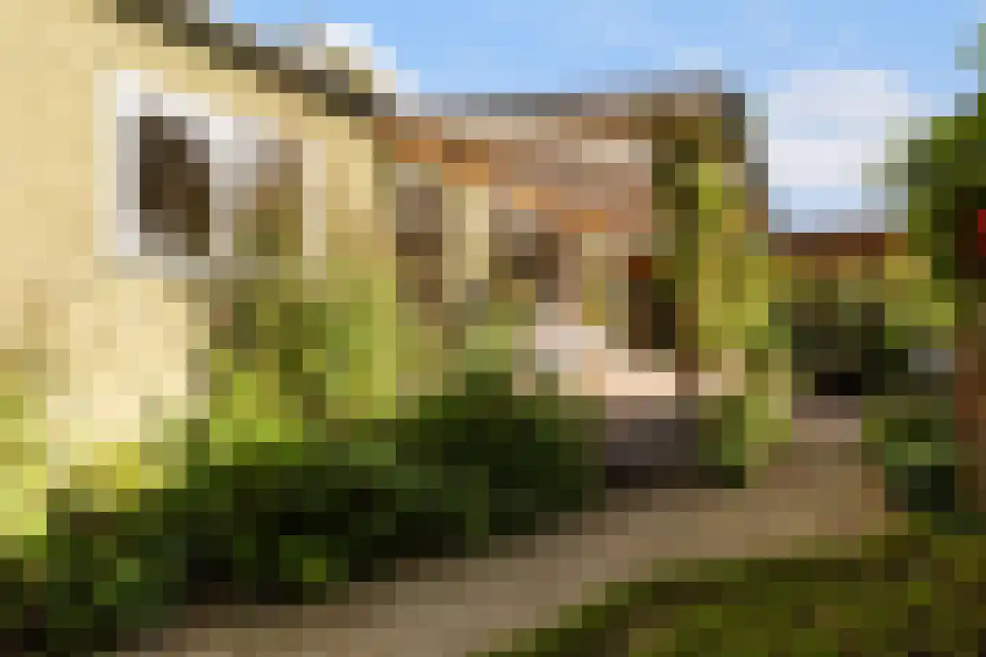Molenpolderhof 50 Tienhoven thumbnail 7