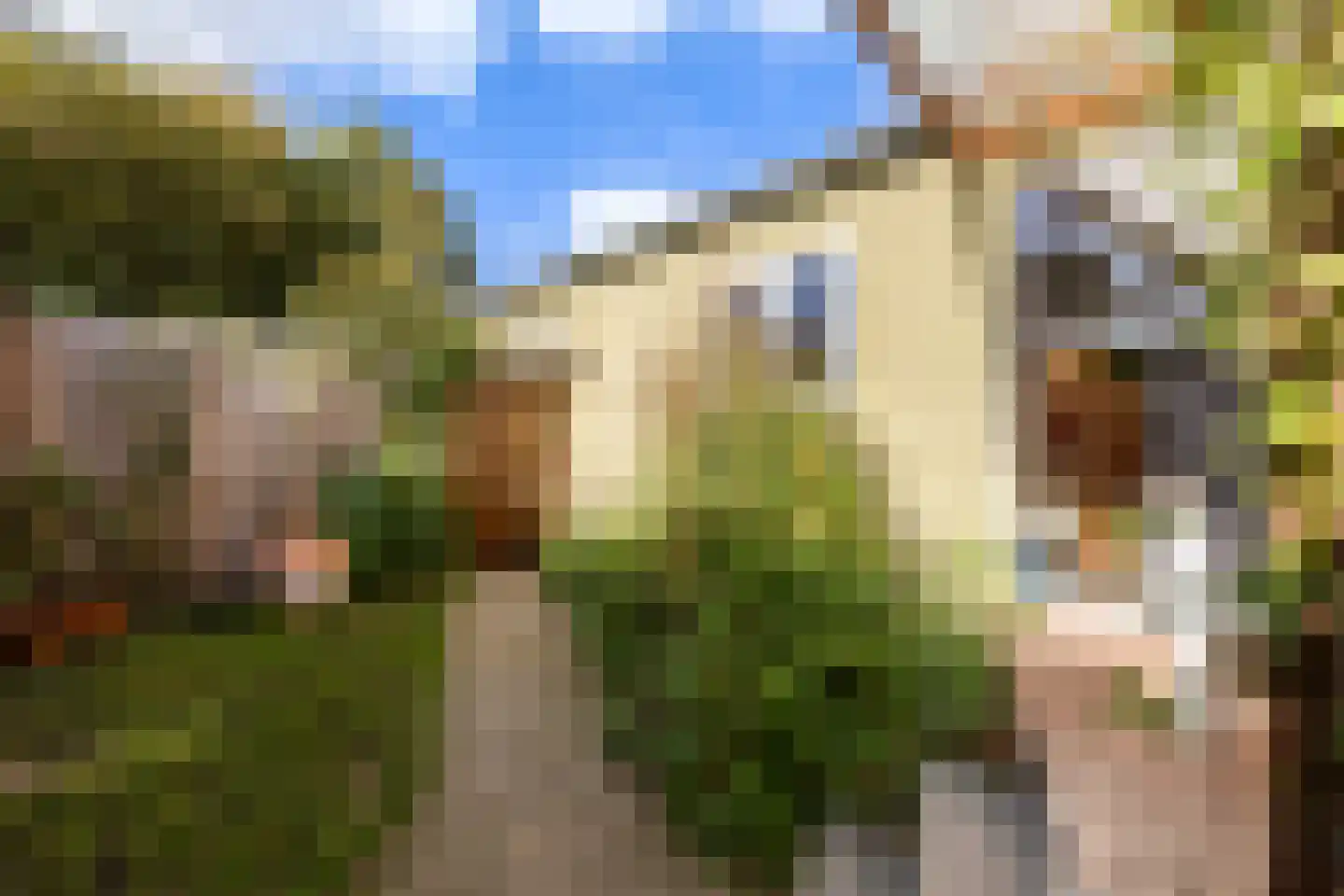 Molenpolderhof 50 Tienhoven thumbnail 8