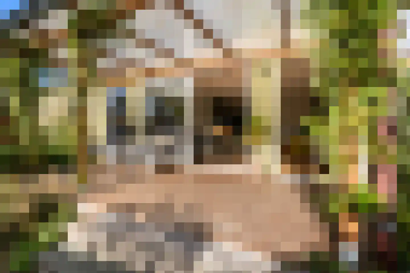 Molenpolderhof 50 Tienhoven thumbnail 9