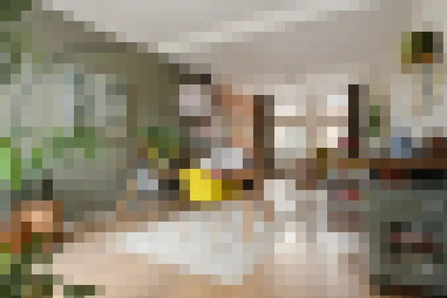 Molenpoort 3 Weert thumbnail 17
