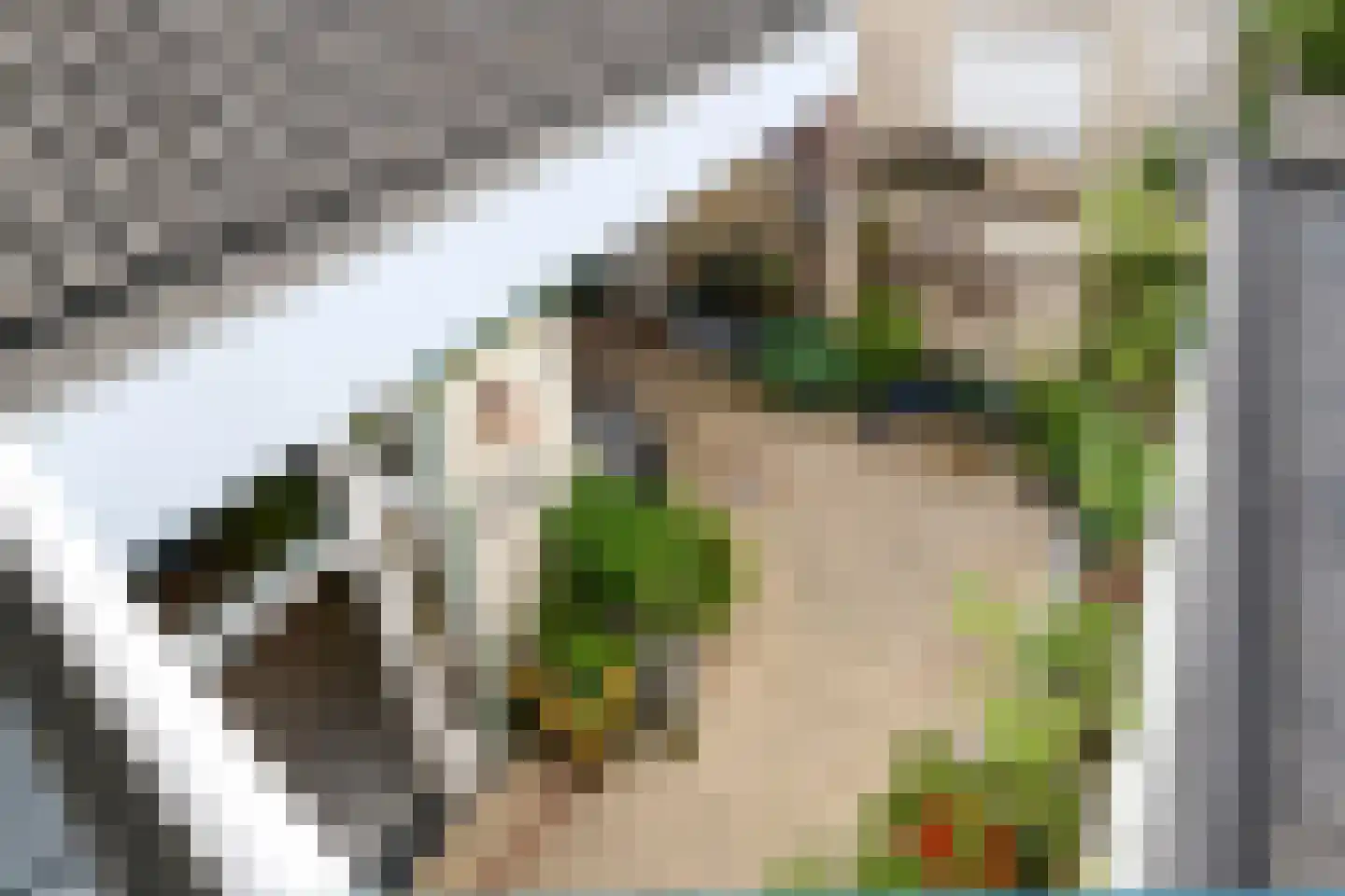 Molenpoort 3 Weert thumbnail 26