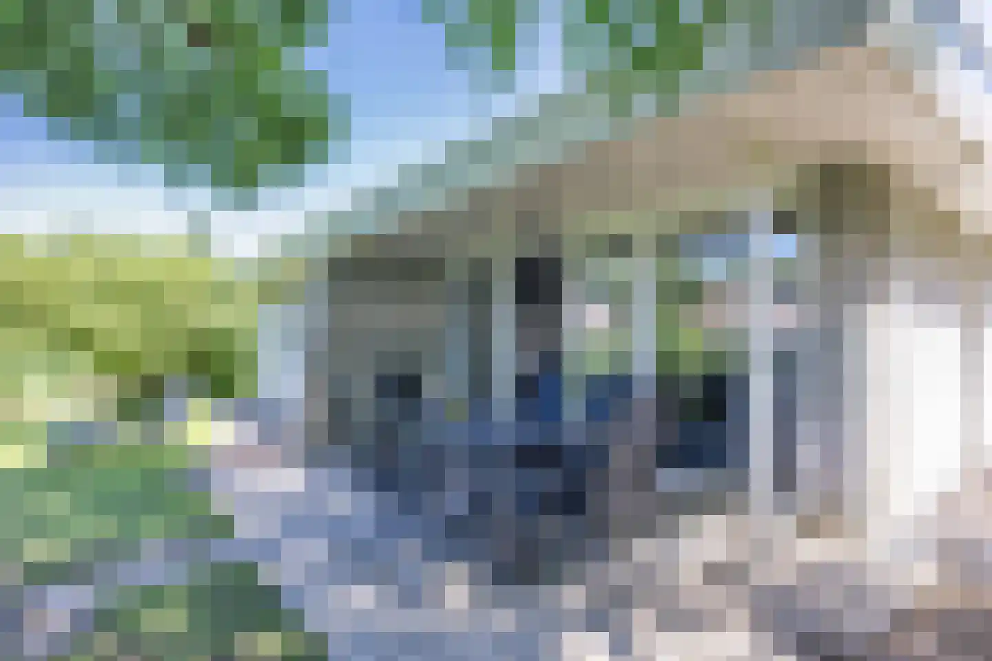 Molenrak 18 Makkum thumbnail 24