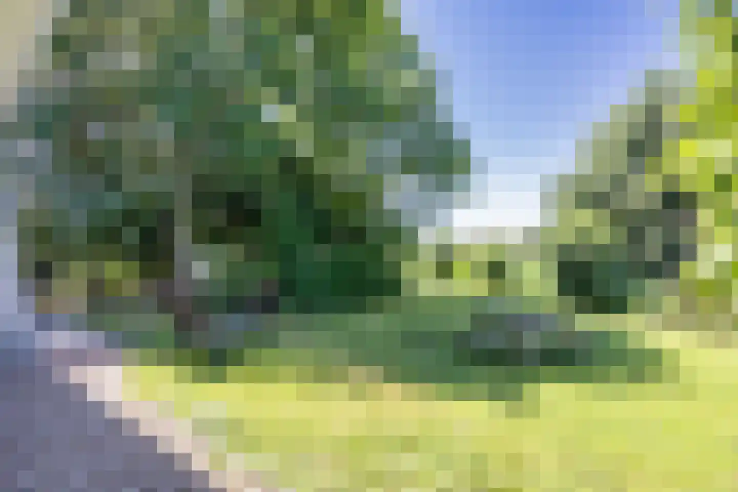 Molenrak 18 Makkum thumbnail 27