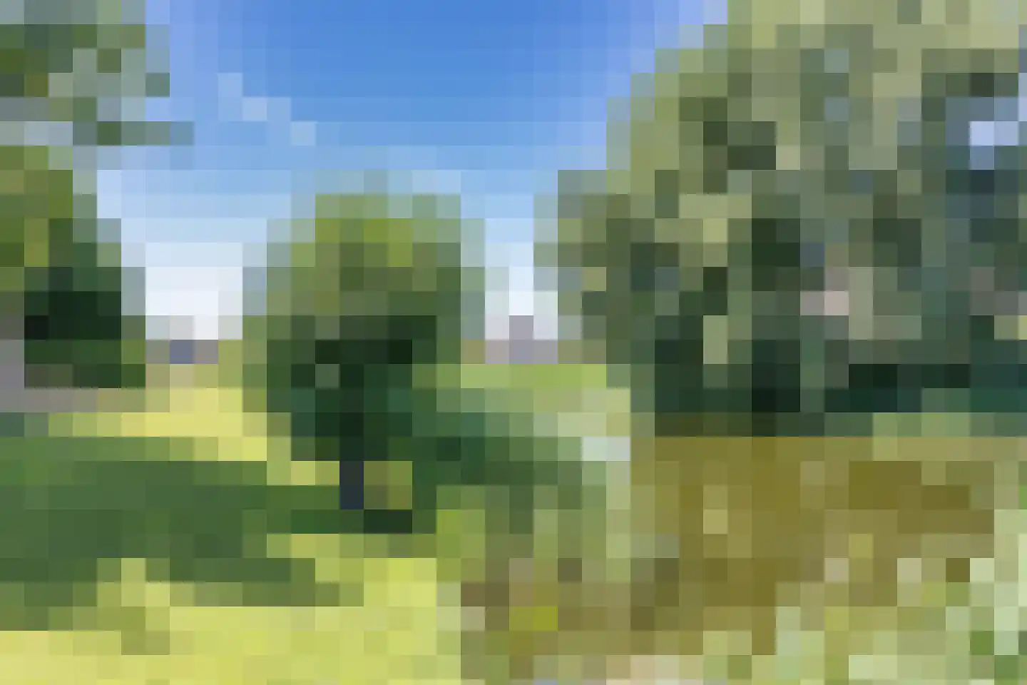 Molenrak 18 Makkum thumbnail 28
