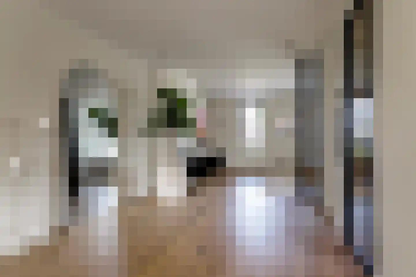 Molenrak 2 Harlingen thumbnail 14