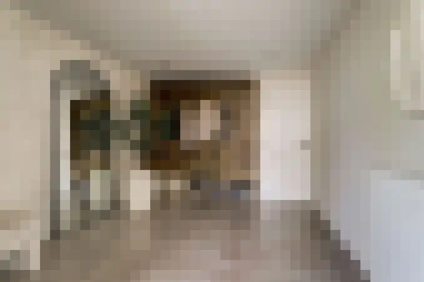 Molenrak 2 Harlingen thumbnail 16