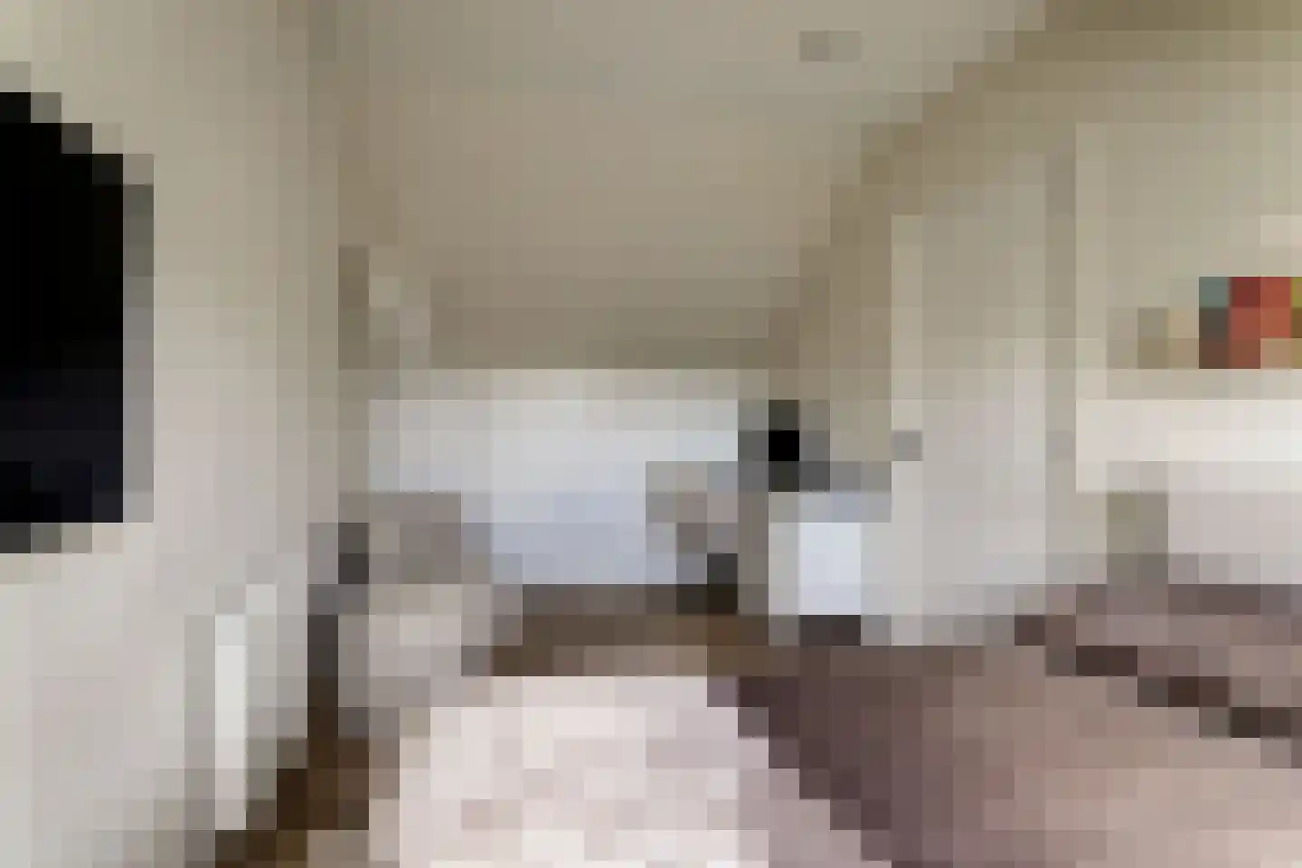 Molenrak 2 Harlingen thumbnail 29
