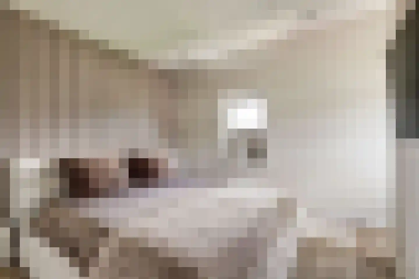 Molenrak 2 Harlingen thumbnail 30