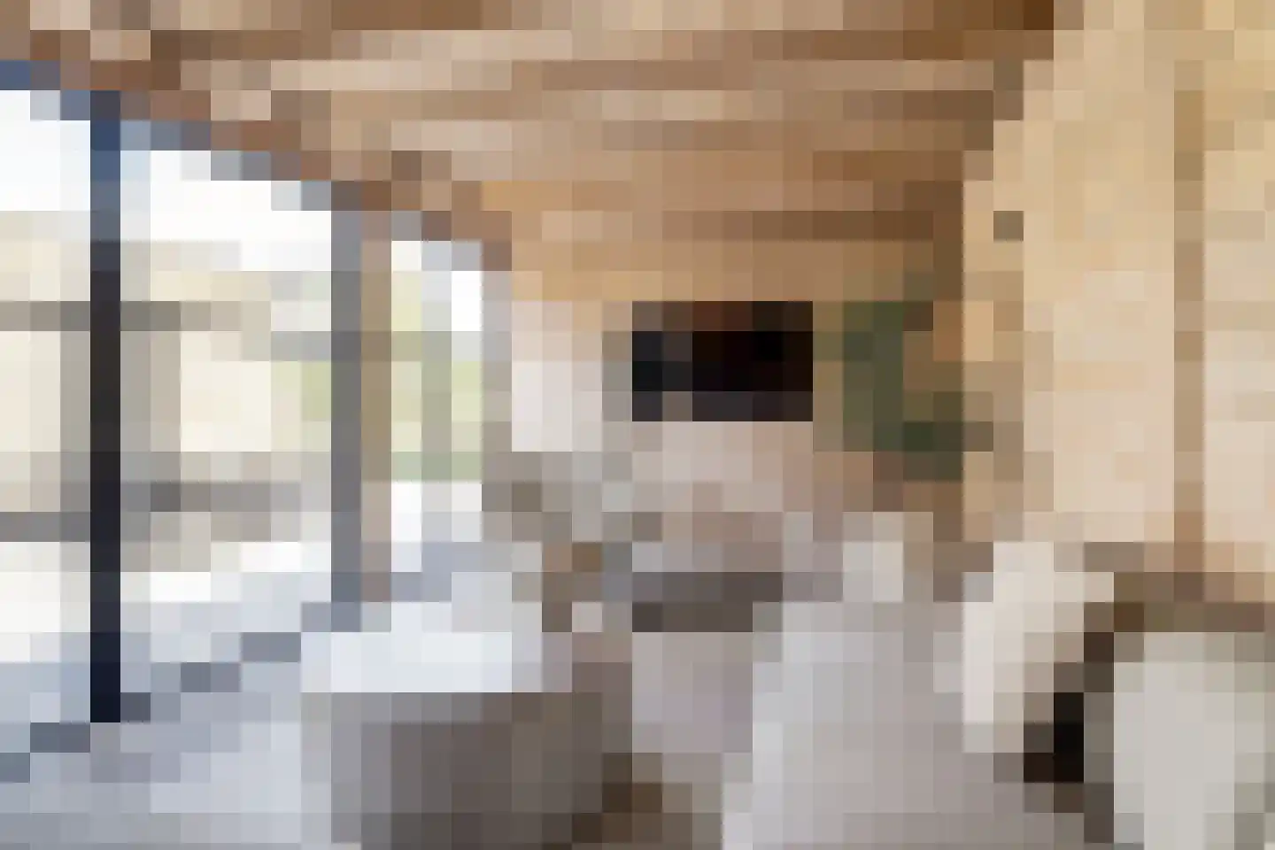 Molenrak 2 Harlingen thumbnail 34