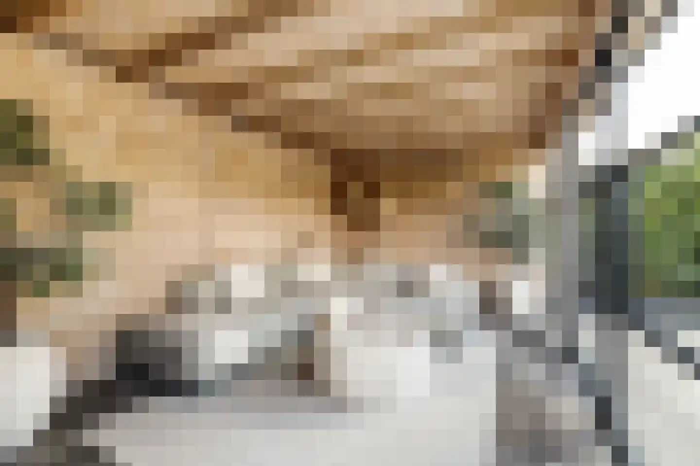 Molenrak 2 Harlingen thumbnail 35