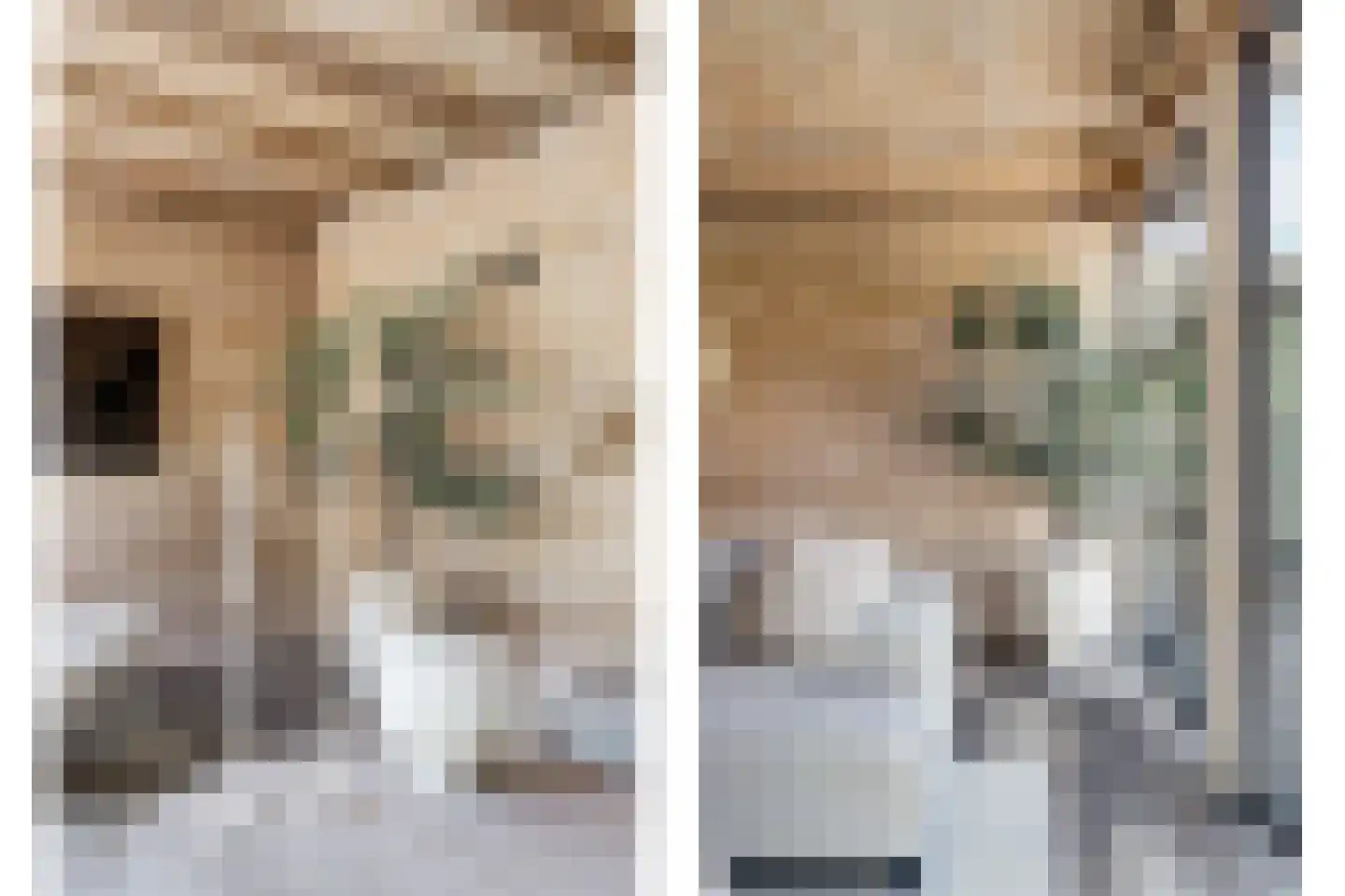 Molenrak 2 Harlingen thumbnail 36