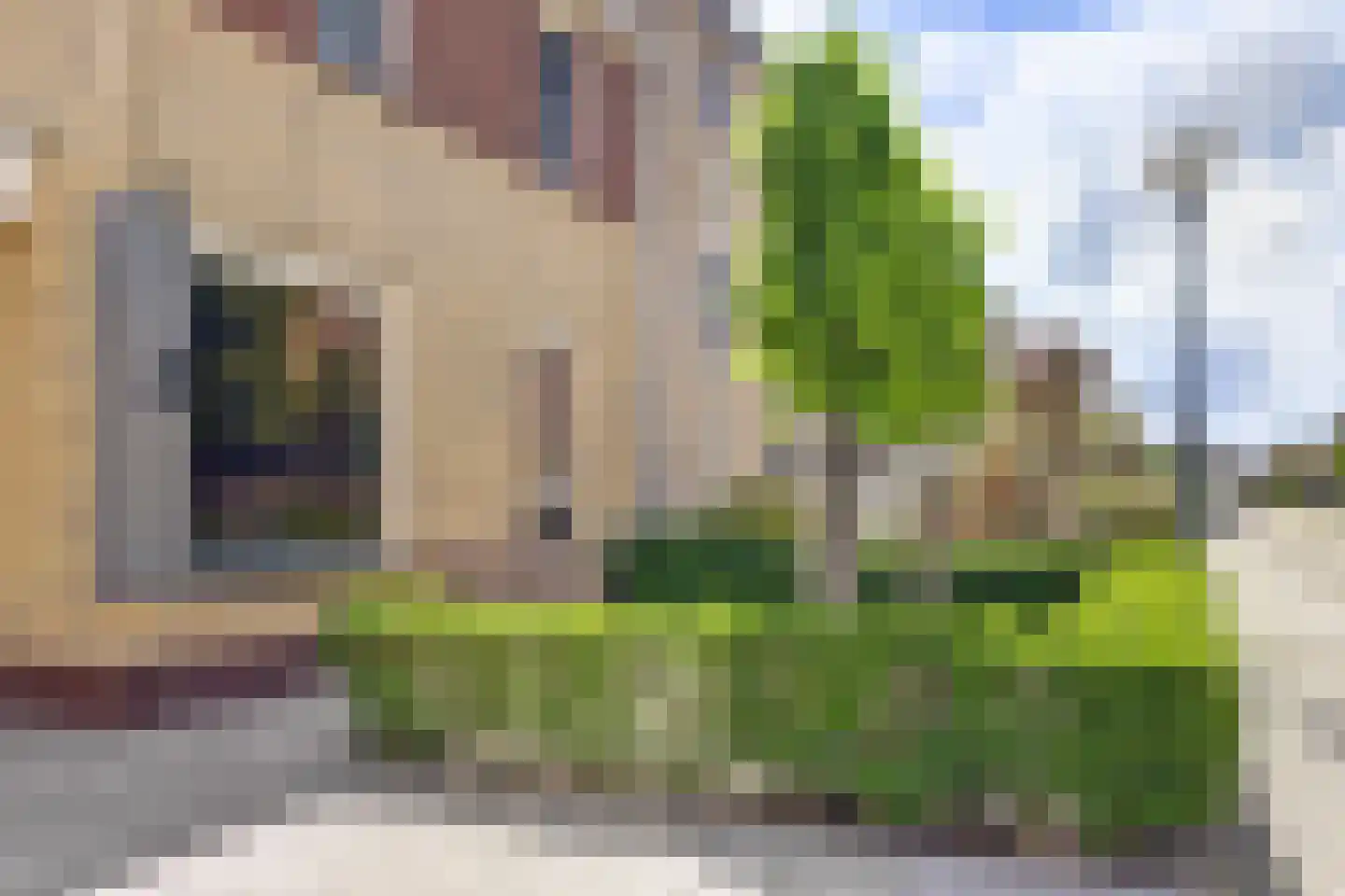 Molenrak 2 Harlingen thumbnail 42