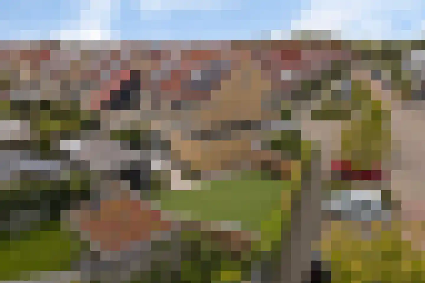 Molenrak 2 Harlingen thumbnail 47
