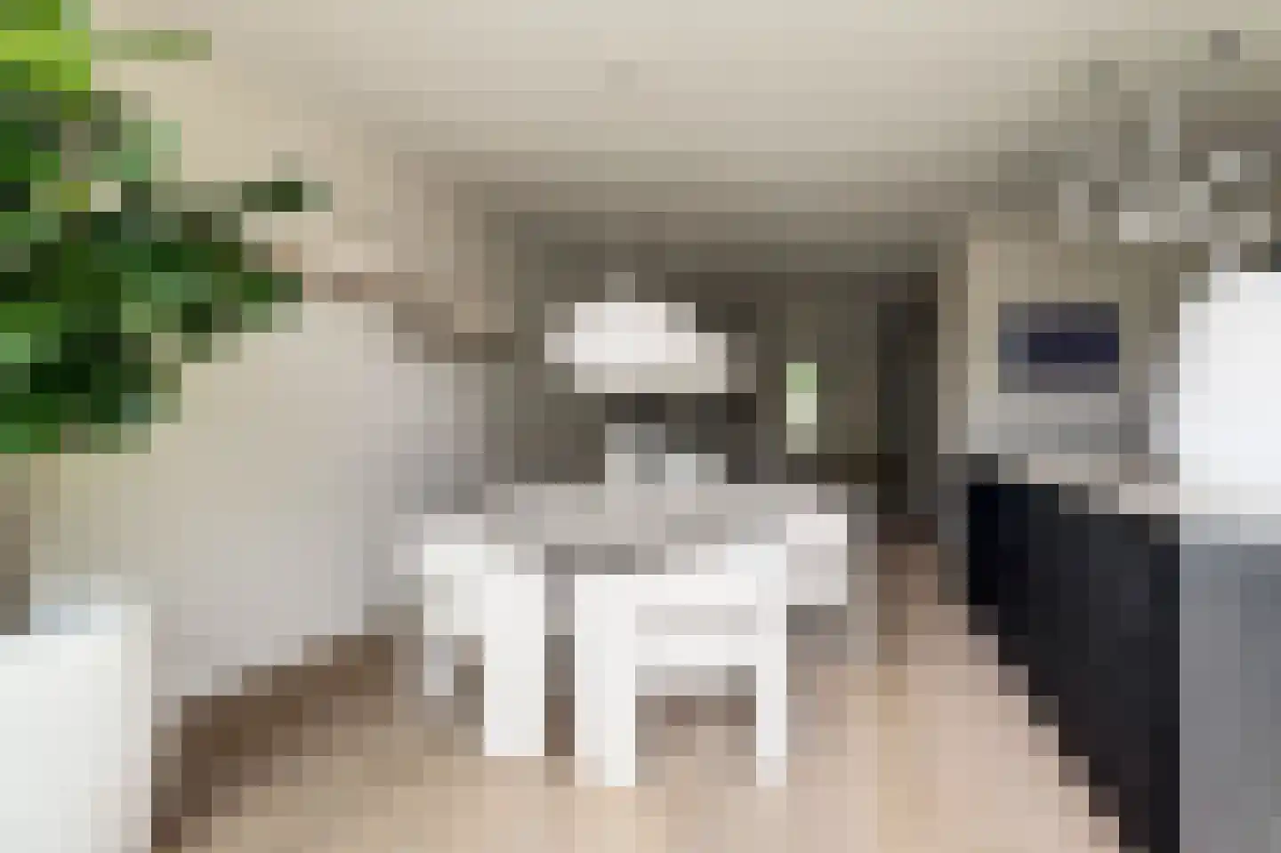 Molenrak 2 Harlingen thumbnail 6