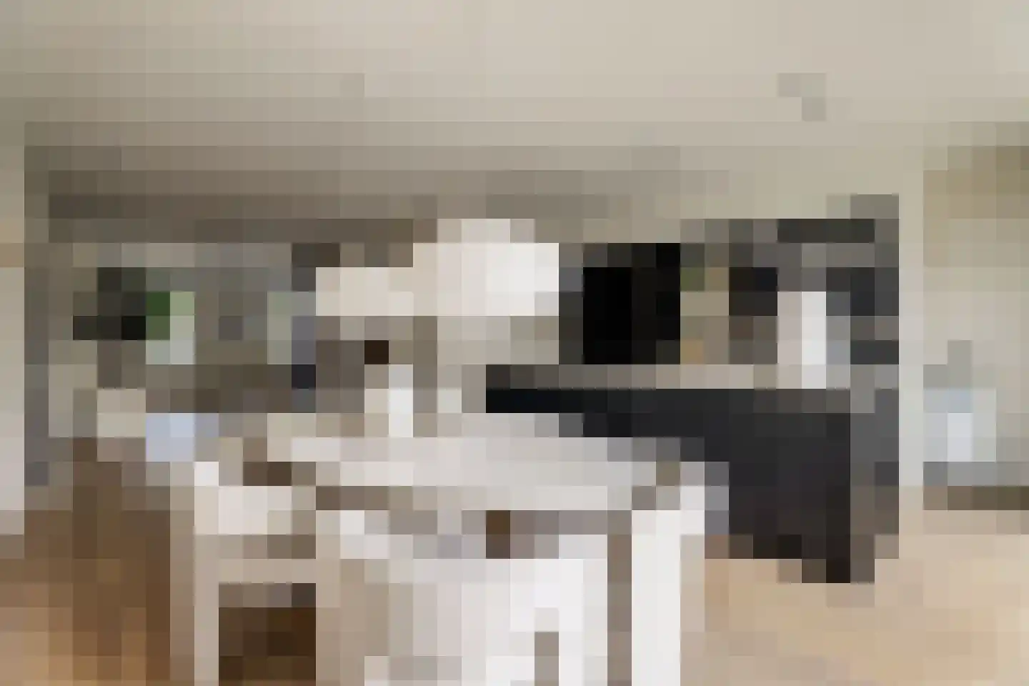 Molenrak 2 Harlingen thumbnail 7