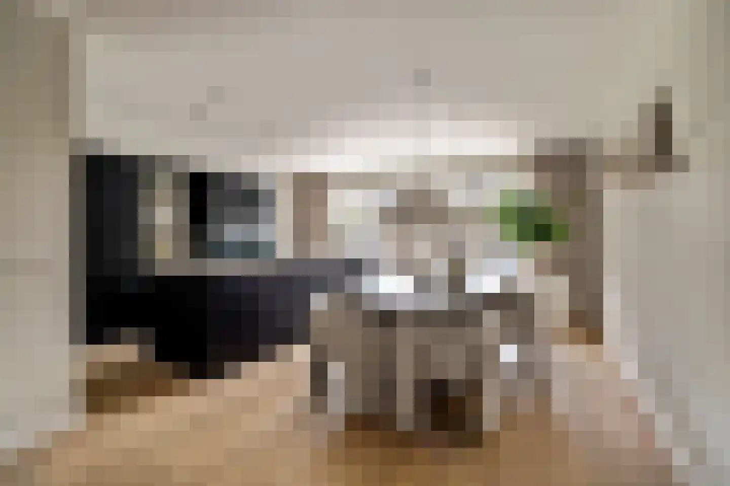 Molenrak 2 Harlingen thumbnail 8