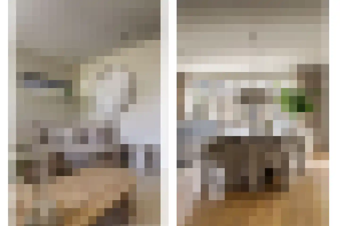 Molenrak 2 Harlingen thumbnail 9