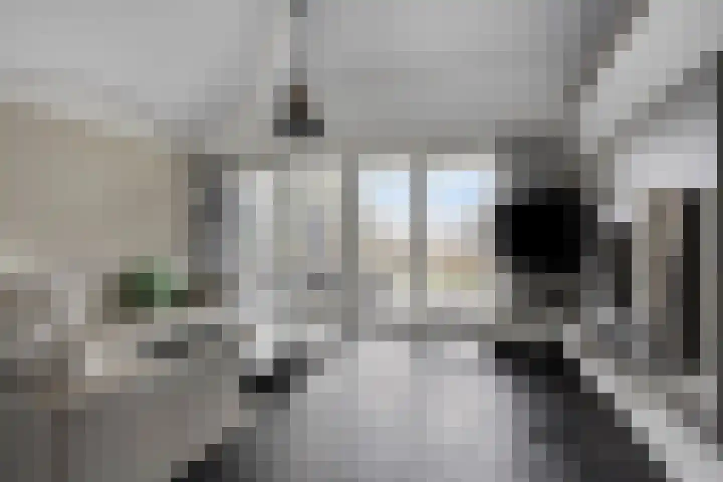 Molenrak 20 Makkum thumbnail 10