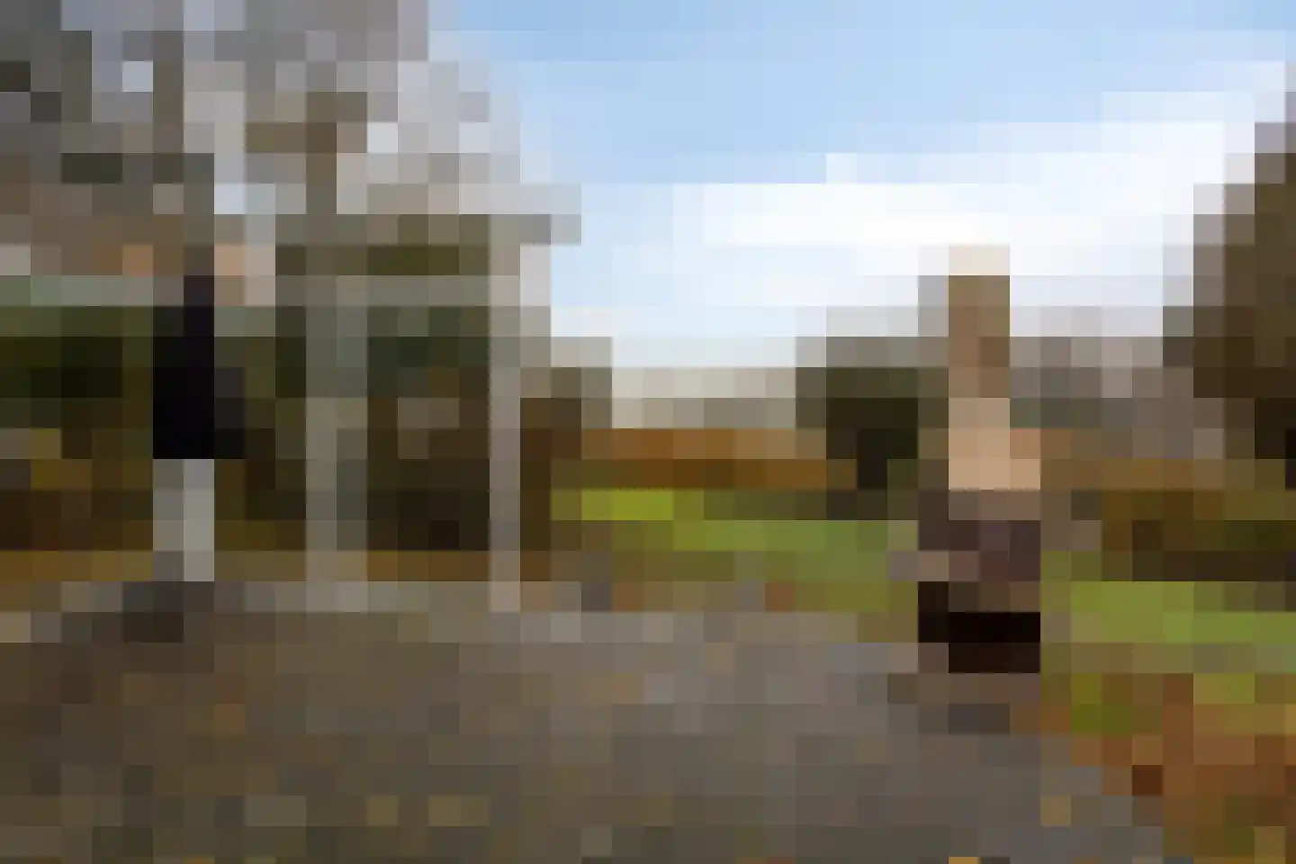 Molenrak 20 Makkum thumbnail 4