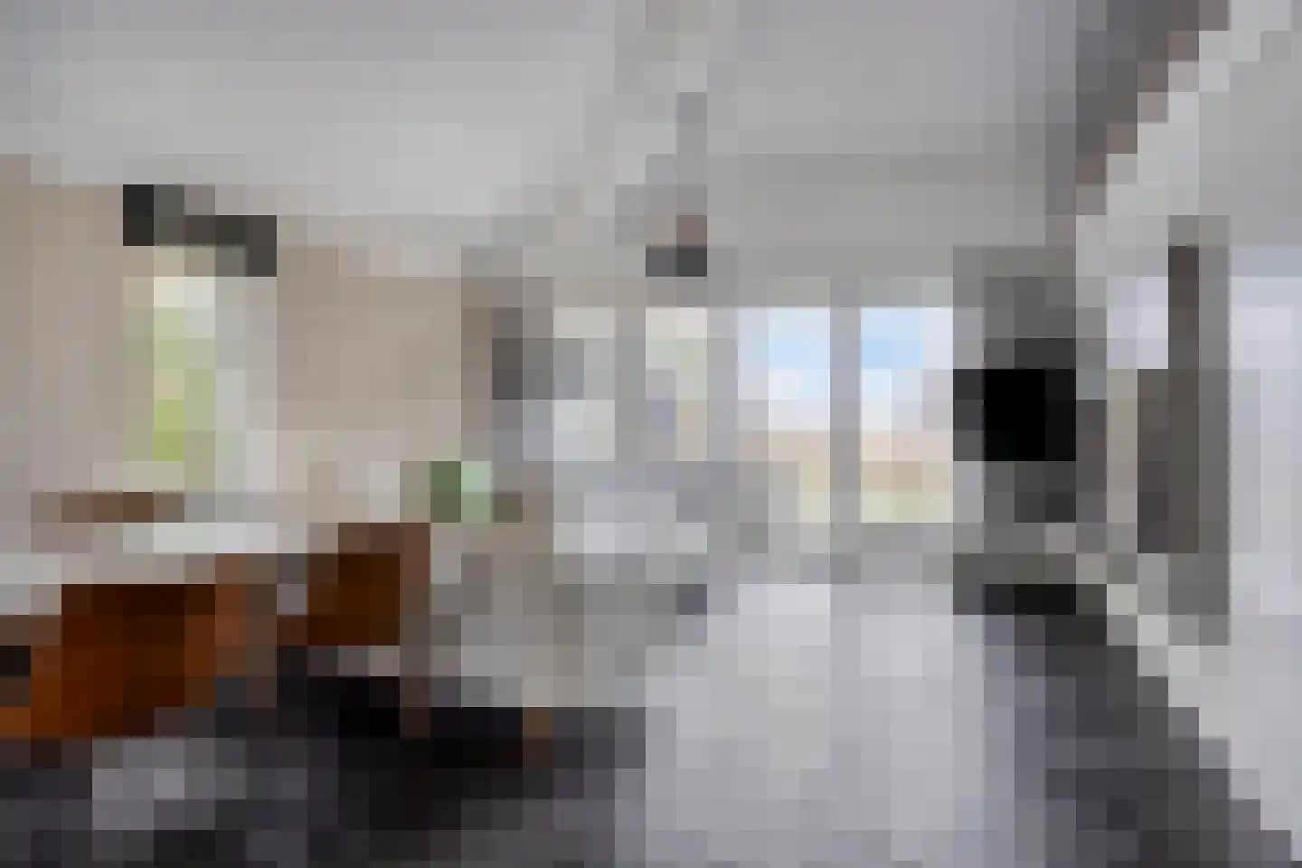 Molenrak 20 Makkum thumbnail 8