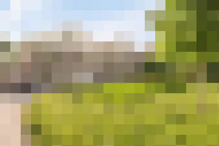 Molenrak 21 Emmeloord thumbnail 10