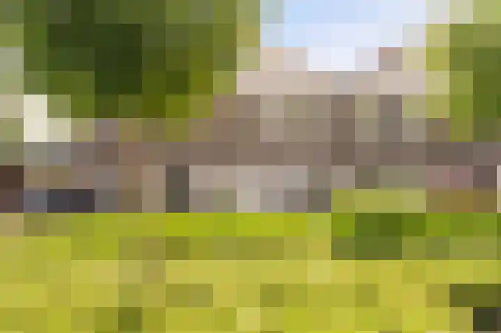 Molenrak 21 Emmeloord thumbnail 11