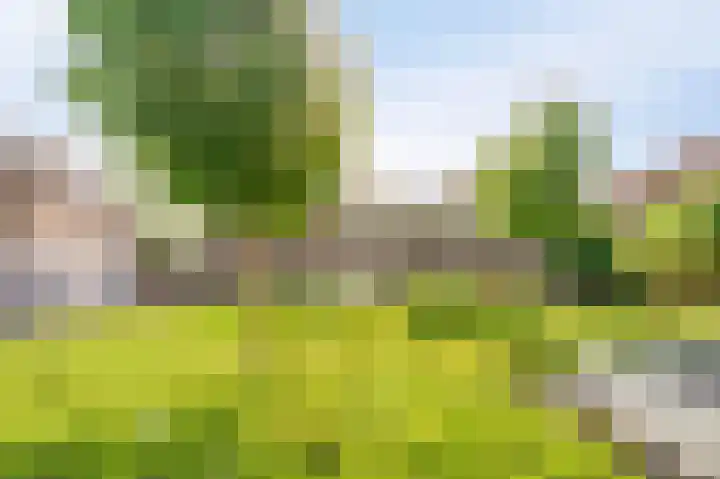 Molenrak 21 Emmeloord thumbnail 12