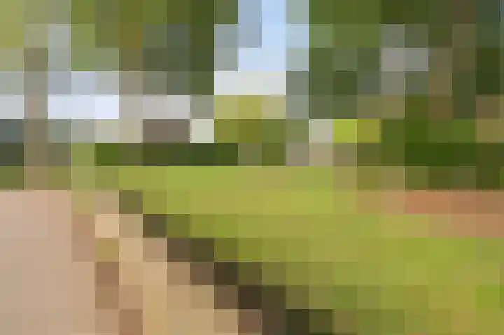 Molenrak 21 Emmeloord thumbnail 13