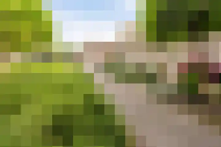 Molenrak 21 Emmeloord thumbnail 14