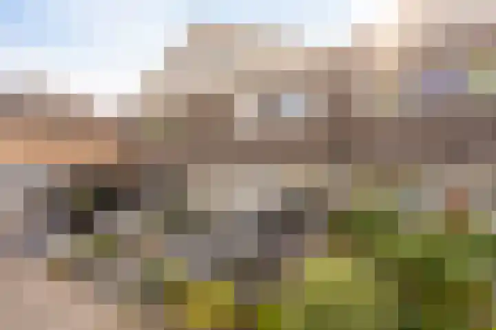 Molenrak 21 Emmeloord thumbnail 15