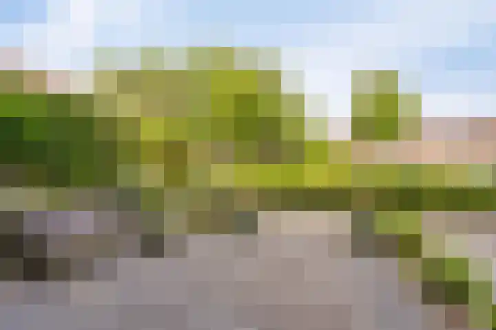 Molenrak 21 Emmeloord thumbnail 16
