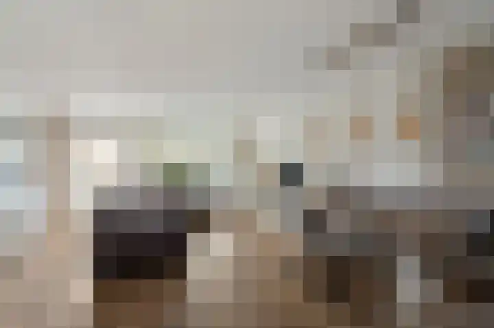 Molenrak 21 Emmeloord thumbnail 17
