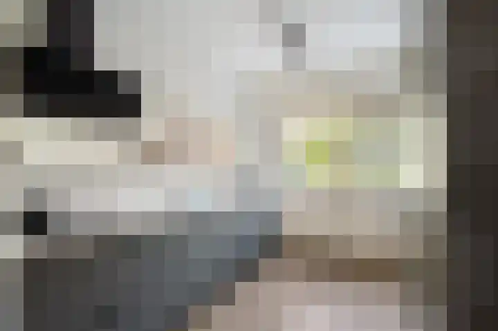 Molenrak 21 Emmeloord thumbnail 18