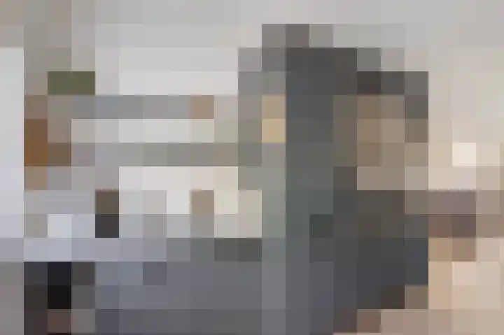 Molenrak 21 Emmeloord thumbnail 20