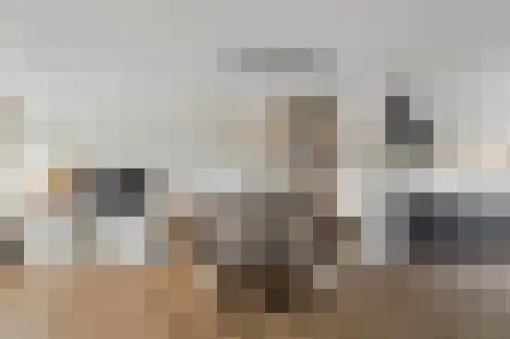 Molenrak 21 Emmeloord thumbnail 22
