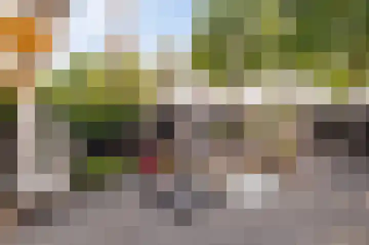 Molenrak 21 Emmeloord thumbnail 28