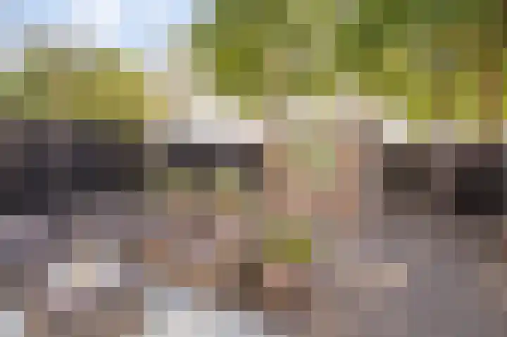 Molenrak 21 Emmeloord thumbnail 29