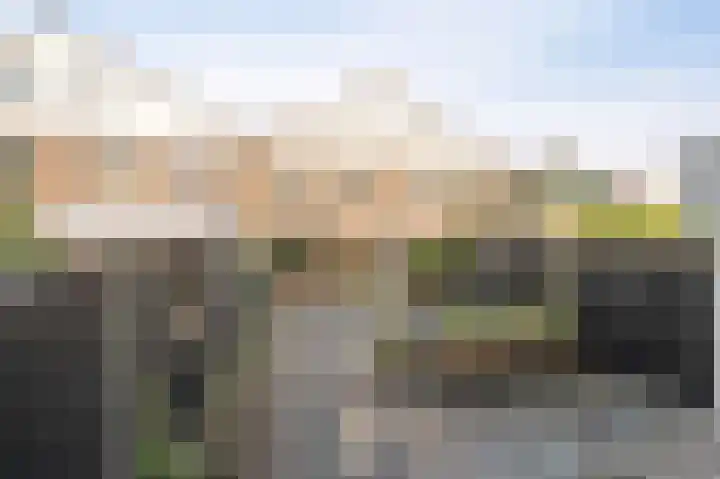 Molenrak 21 Emmeloord thumbnail 30