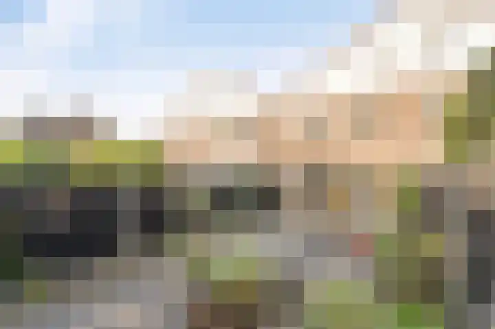 Molenrak 21 Emmeloord thumbnail 31