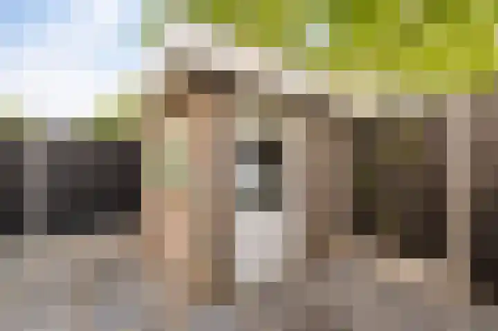 Molenrak 21 Emmeloord thumbnail 32