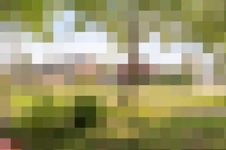 Molenrak 21 Emmeloord thumbnail 34