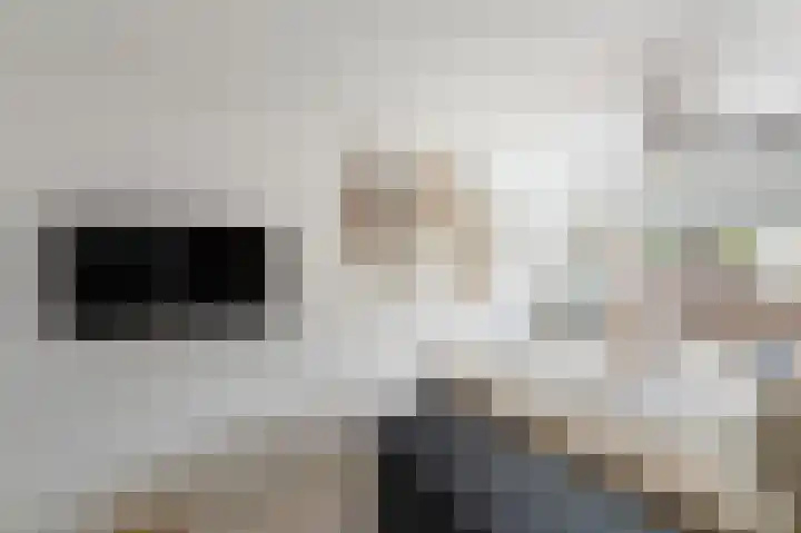Molenrak 21 Emmeloord thumbnail 39